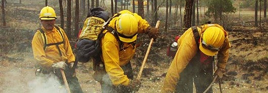 Three firefighters in forest