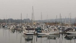 smoky harbor with boats