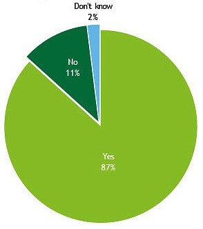 Pie Graph of whether EM programs have IMT. The largest section of the graph says yes.