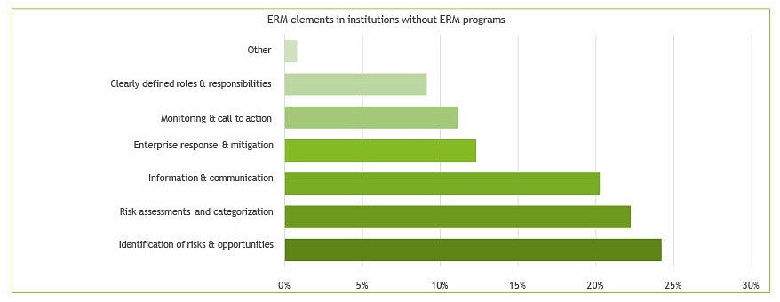 Bar graph of ERM elements at institutions without ERM programs.