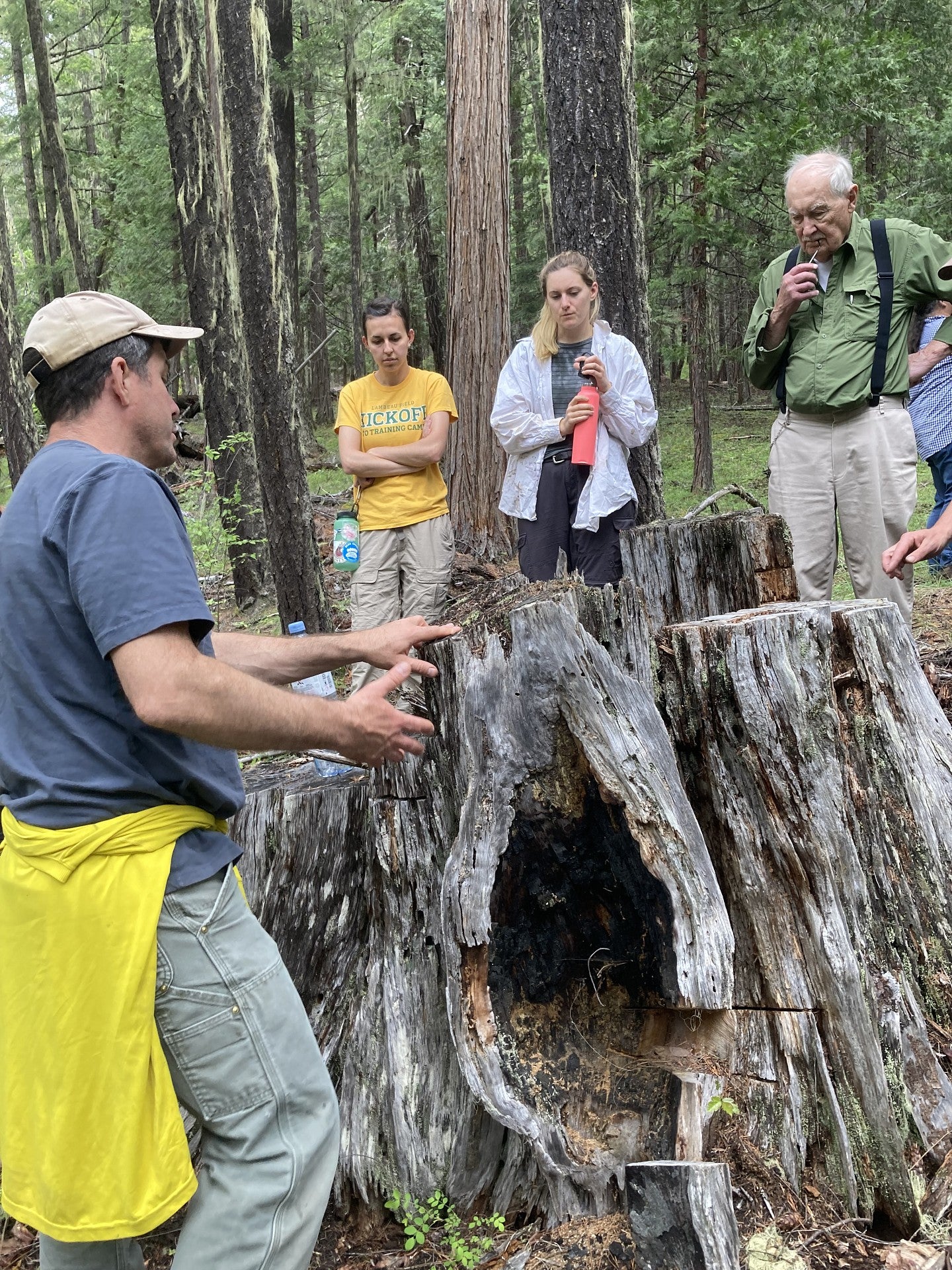 James Johnston explains how trees record fires in the annual growth rings 