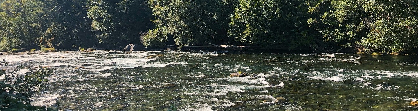 mckenzie river