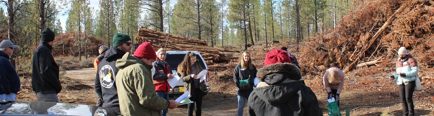 group of people with logs and burnt trees