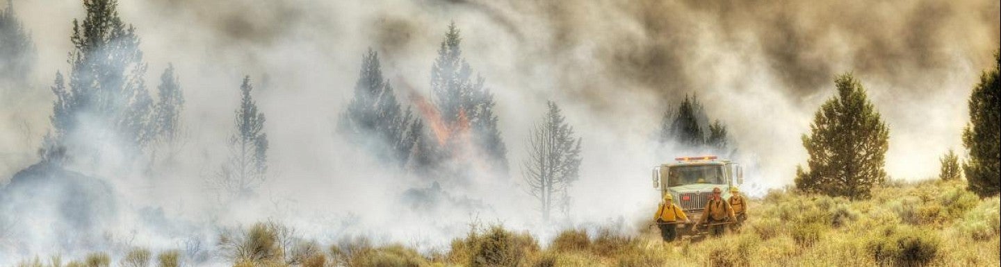 Smoke rising from burning forest, firefighters and truck in front. 