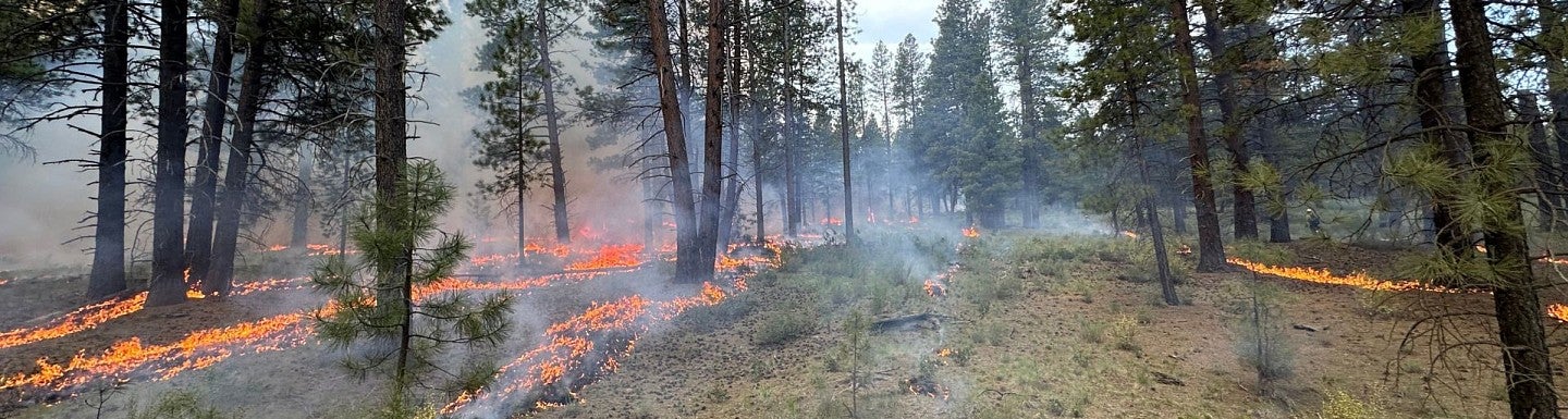 Deschutes National Forest undergoing prescribed burn as part of the West Bend Prescribed Fire Pilot.