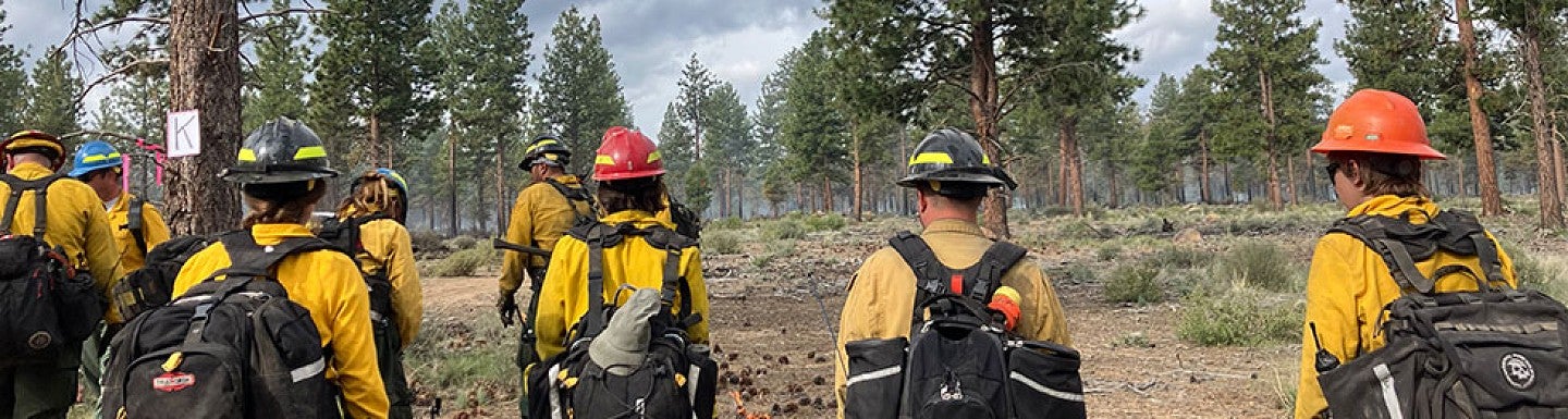 A group of firefighters wearing yellow shirts and green pants carry backpacks and drip torches at a prescribed burn in a ponderosa pine forest.
