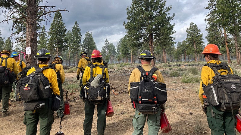 A group of firefighters wearing yellow shirts and green pants carry backpacks and drip torches at a prescribed burn in a ponderosa pine forest.