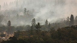 Forest with wildfire smoke and truck