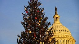 Christmas tree decorated in front of US Capitol. USDA Forest Service photo by Ian Grob.