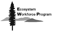 Black fir tree in front of grey hills with Ecosystem Workforce Program