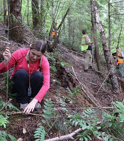 Monitoring crew collecting data on the Willamette National Forest.