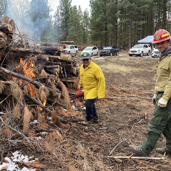 two people near burning logs