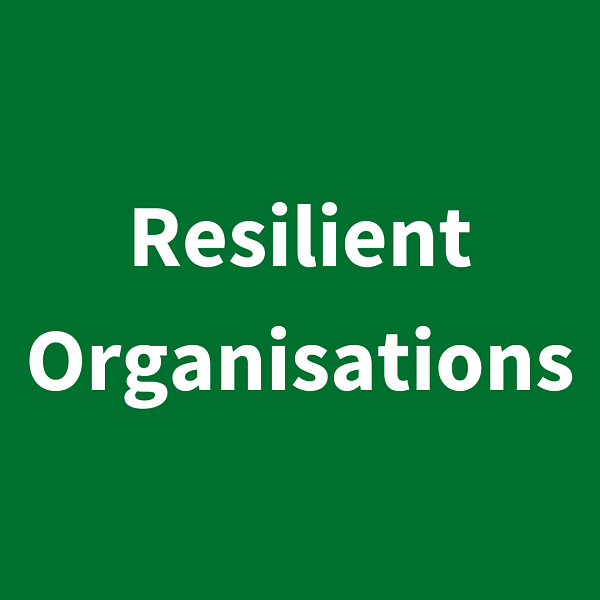 green box with white text resilient organisations
