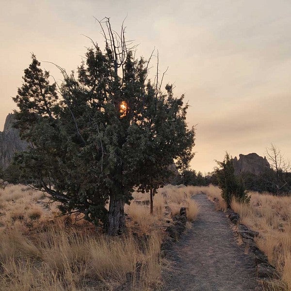 Smoky sky above grass and path